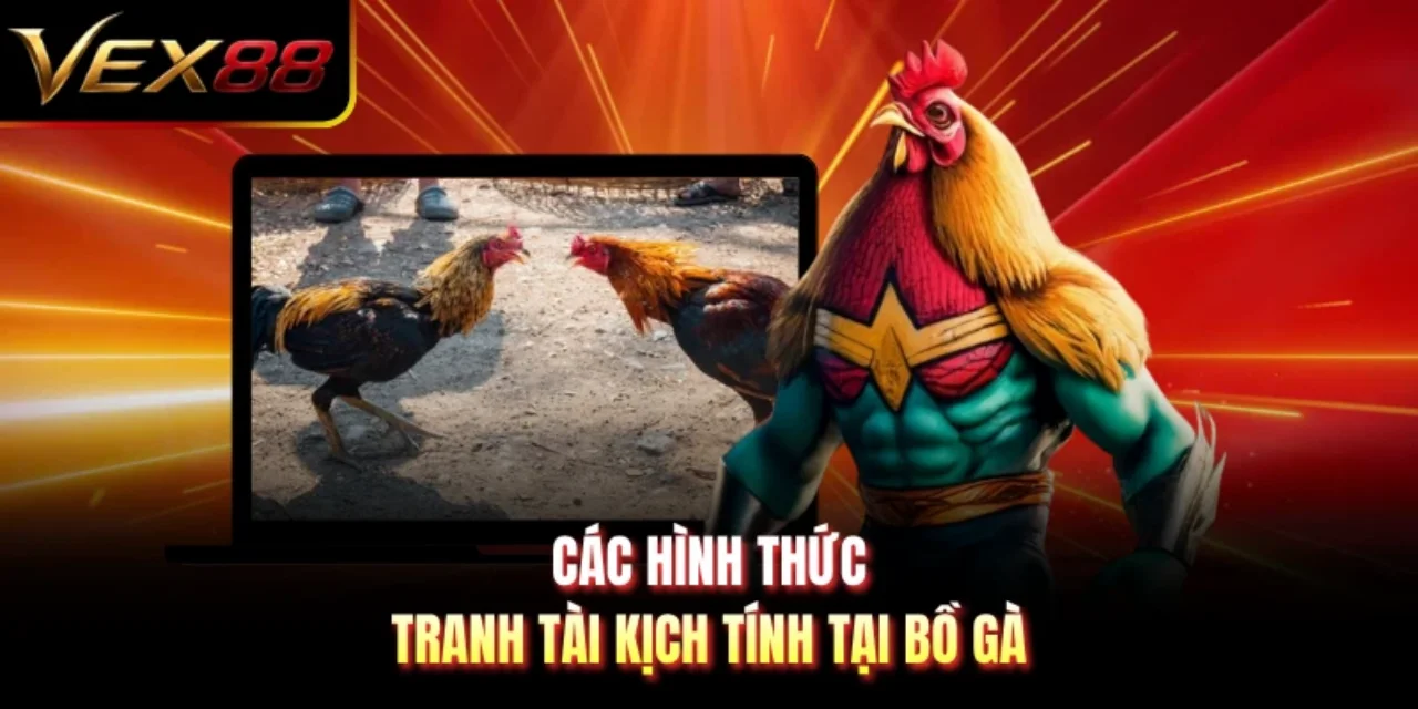 Các hình thức tranh tài kịch tính tại bồ gà