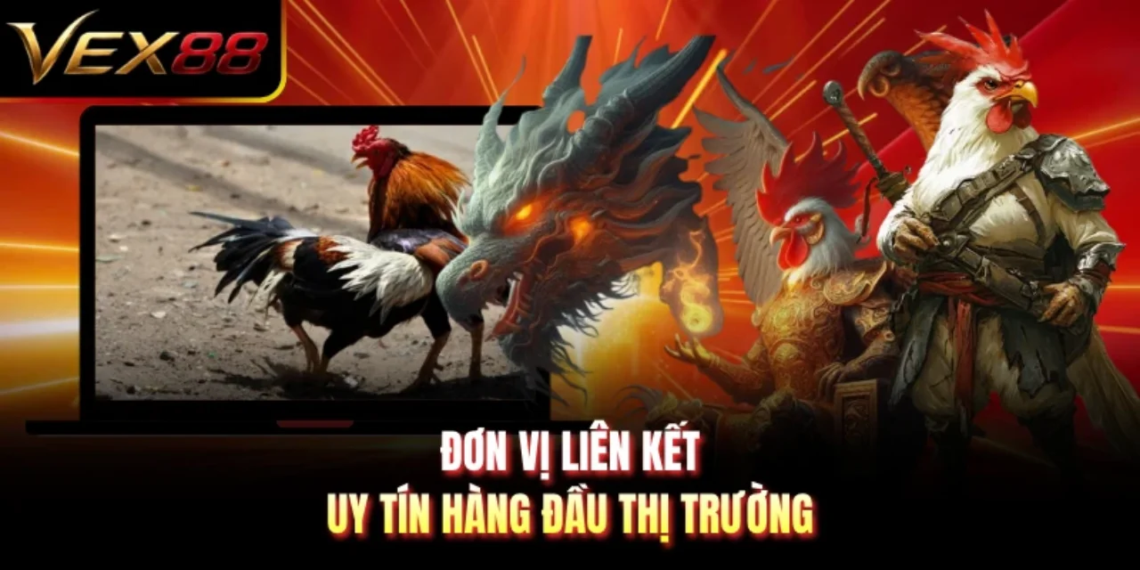 Đơn vị liên kết uy tín hàng đầu thị trường