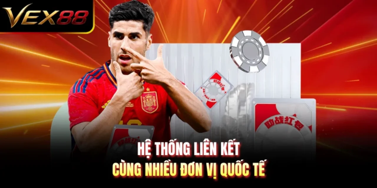 Hệ thống liên kết cùng nhiều đơn vị quốc tế