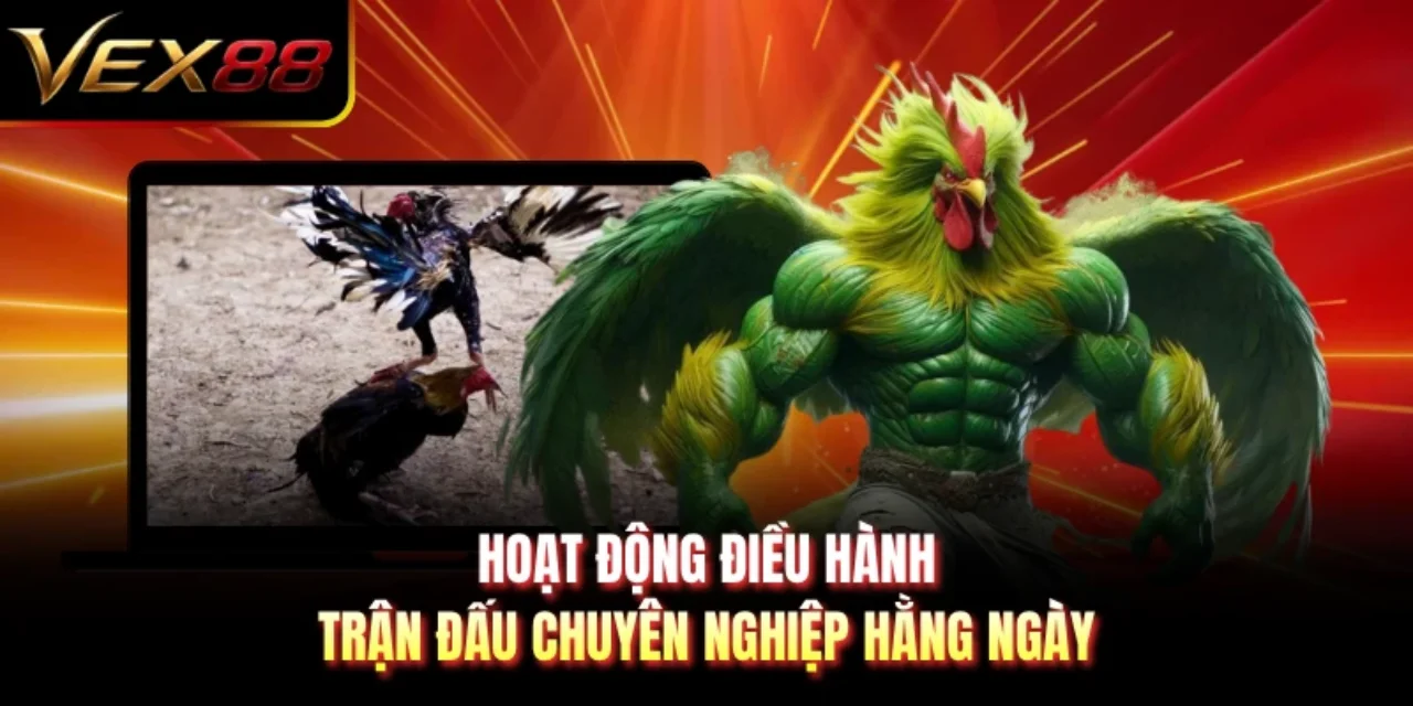 Hoạt động điều hành trận đấu chuyên nghiệp hằng ngày