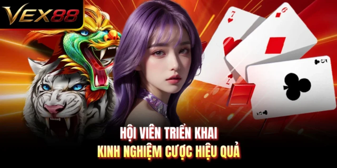 Hội viên triển khai kinh nghiệm cược hiệu quả